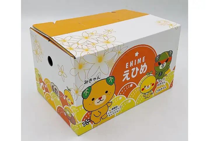みかん 愛媛 ハウスみかん＆伊予柑ゼリー 【2026年7月発送】ゼリー お菓子 デザート フルーツ ギフト おすすめ 人気 数量限定 柑橘 伊予市｜B41