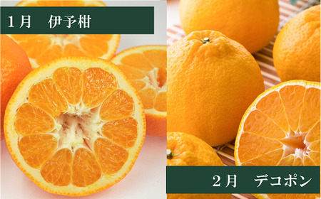 【2026年先行予約】えひめかんきつ定期便（全６回）柑橘 紅まどんな 日の丸みかん 伊予柑 デコポン せとか 河内晩柑  | F01