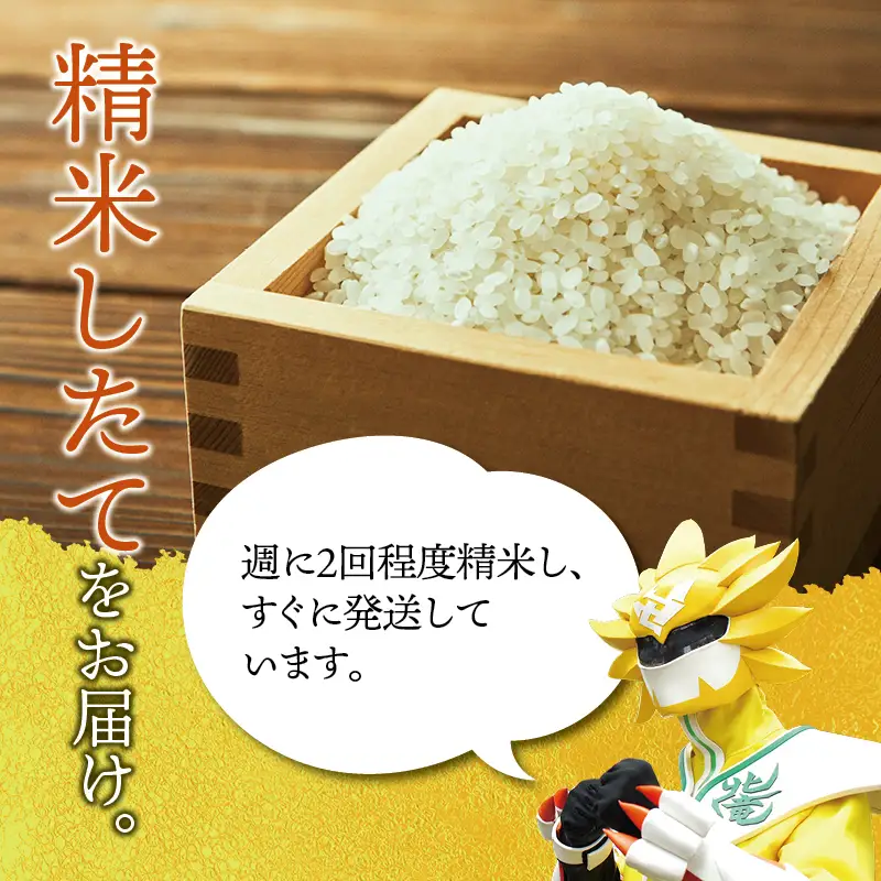 【定期便6ヶ月】令和8年産 新米 無洗米 ゆめぴりか 5kg×6回【uni500-yume-m5x6-R8】