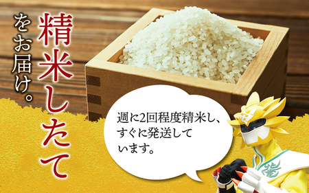 【定期便3ヶ月】令和7年産 無洗米 ゆめぴりか 10kg×3回【sun500-yume-m10x3-R7A】