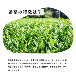 番茶 茶葉 420g（140g×3）｜土佐霧山茶 国産 緑茶 リーフタイプ 大容量