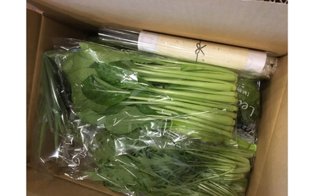 忍びの国の野菜セット（12品以上）隔月6回お届け【mtur-tkb0001】