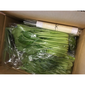 忍びの国の野菜セット（12品以上）【mtur0001】