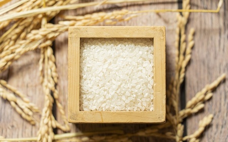 特別栽培米 伊賀米食べくらべ真空パック セット 6合（900g）×3【nsym0004】