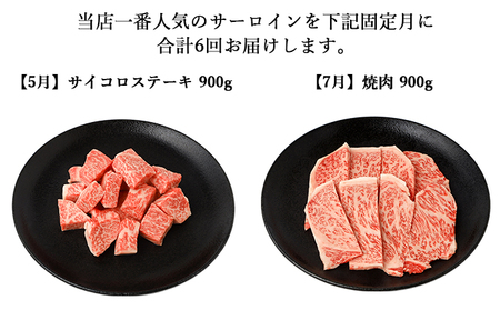 【年6回】伊賀牛 A5サーロイン 定期便コースA 総合計約5.4kg【dido-tkb0009】