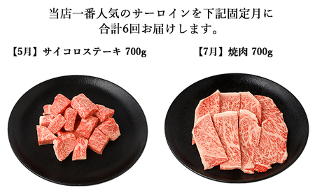 【年6回】伊賀牛 A5サーロイン 定期便コースB 総合計約4.1kg【dido-tkb0010】