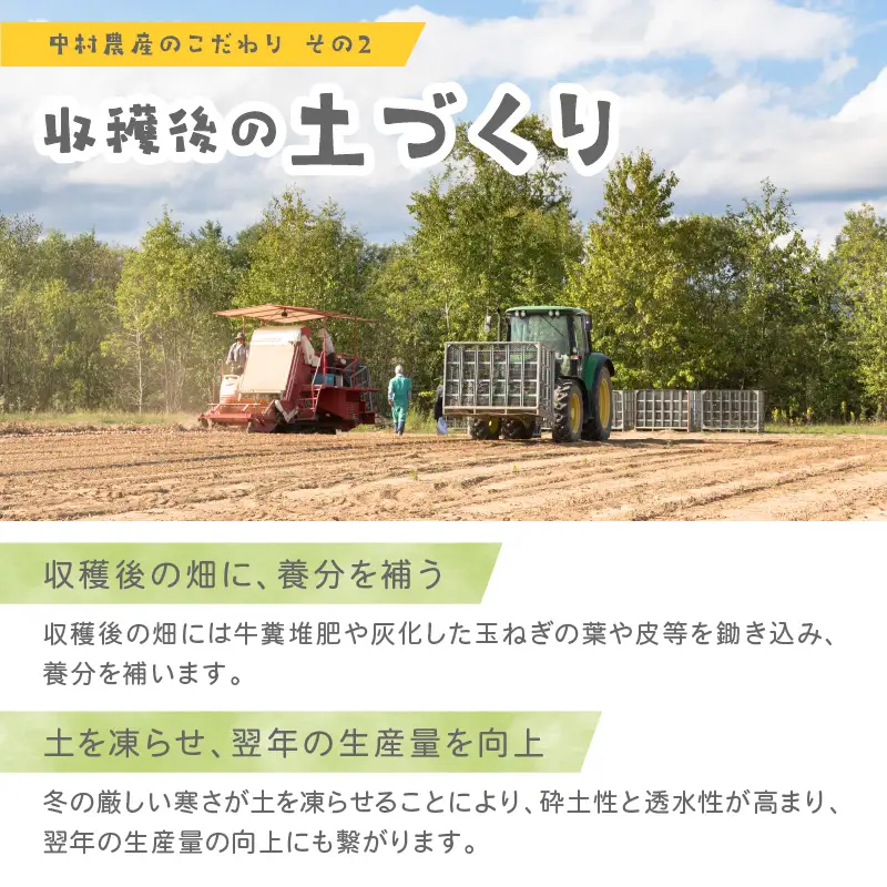 【予約：2026年10月から順次発送】北海道北見産 玉ねぎ 10kg ( 野菜 たまねぎ タマネギ 玉葱 玉ねぎ 甘い Lサイズ 10キロ 玉ねぎ生産量日本一 )【002-0009-2026】