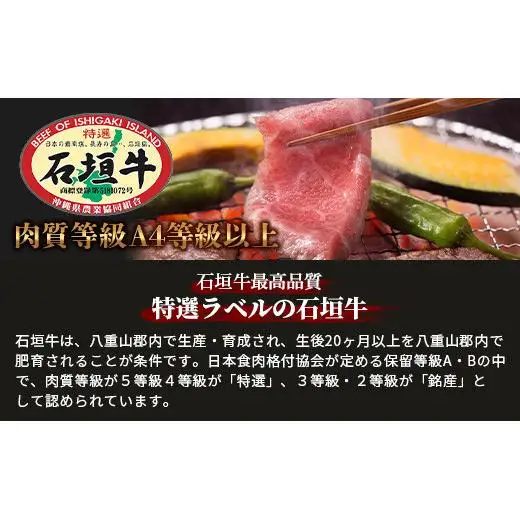 石垣牛特選焼肉1kg（いしなぎ屋）　AB-17