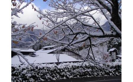 奥飛騨  隠庵ひだ路 翠（みどり）の間 【温泉露天風呂+檜内湯付】 和室 平日限定 1泊2食 ペア宿泊券 温泉 露天風呂 旅行 LL004