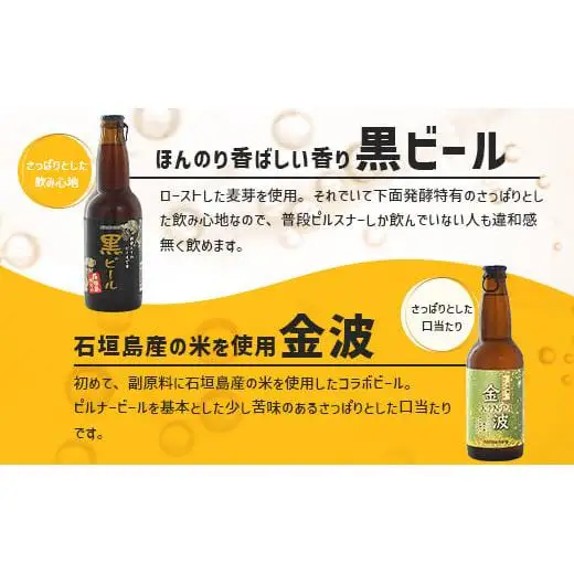 石垣島ビールおつまみセット小 V-24