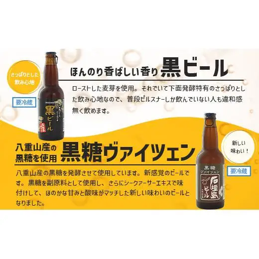 石垣島ビール詰め合わせ おまかせ12本セット　 V-22