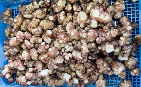 菊いもまる漬3パックセット【田子町産菊いも使用】