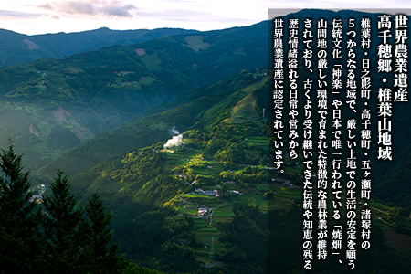 【7営業日以内発送】【雑穀米】藤の花色に染まる美しい六穀米《藤六穀》300g×6袋【世界農業遺産 高千穂郷・椎葉山地域】雑穀米 うるち米 たかきび 挽割とうもろこし もちあわ もち麦 黒米 TT-10