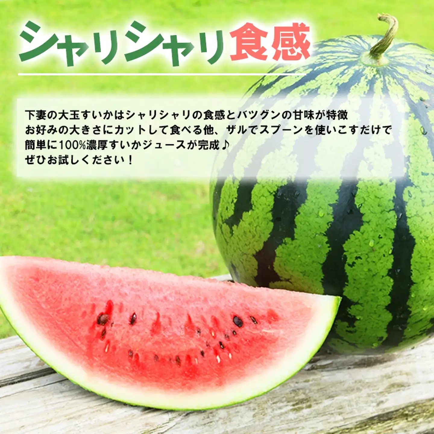 すいか スイカ 大玉 約6～7kg×2玉 令和8年産