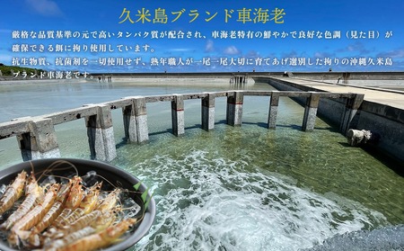 車海老【久米総合開発】活き〆急速冷凍 久米島ブランド車海老 中サイズ 500g 車えび 海鮮