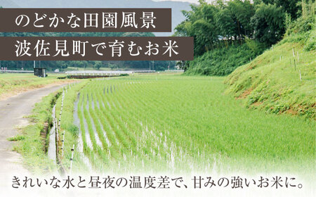 【令和7年度米】【全6回定期便】にこまる 白米 5kg×6回 計30kg  波佐見町産【冨永米穀店】 [ZF08]