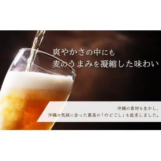 オリオンビール ザ・ドラフト 350ml缶 24本