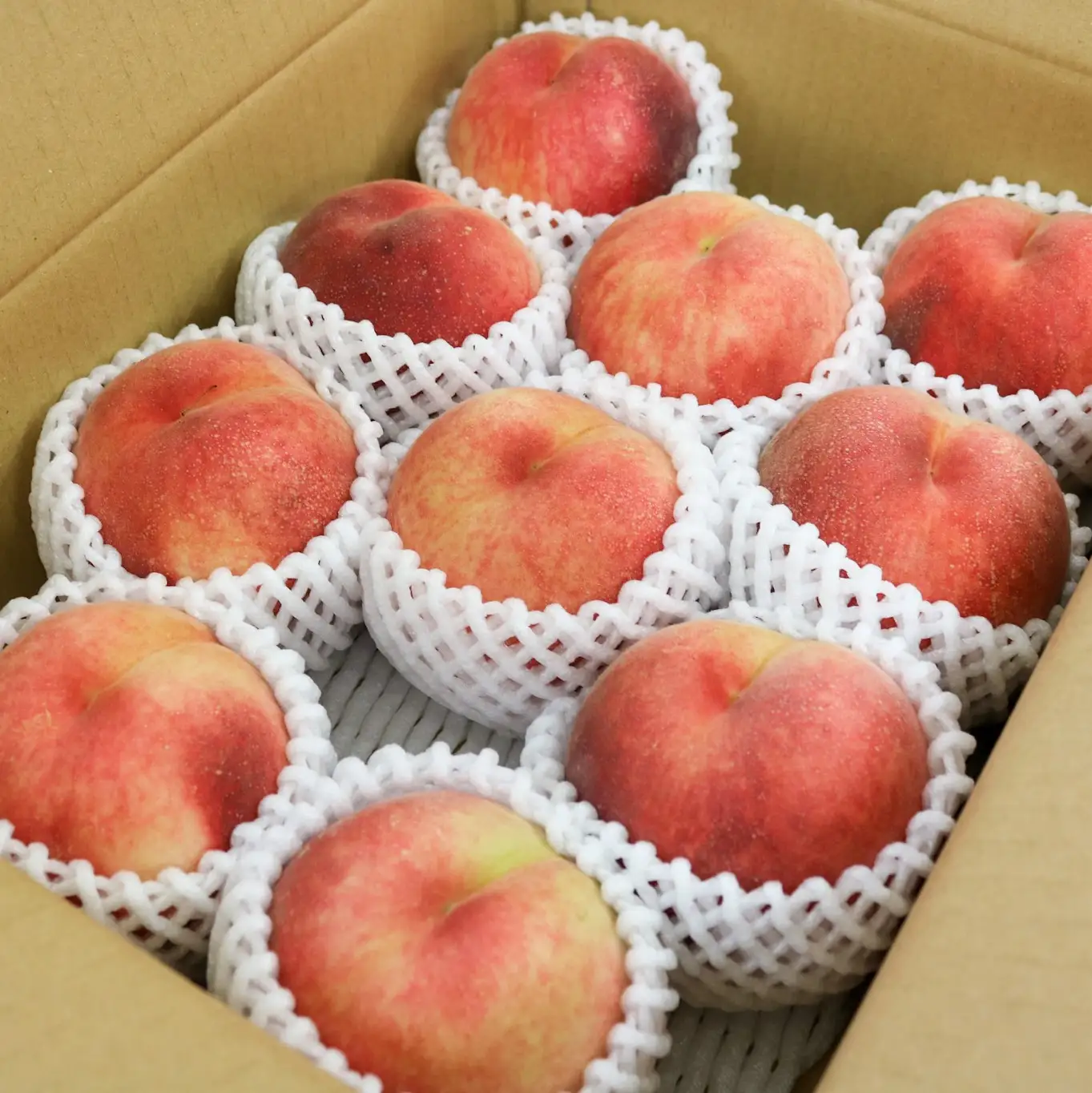 桃 白桃 おどろき 3kg 令和8年産 山形県産 桃 フルーツ