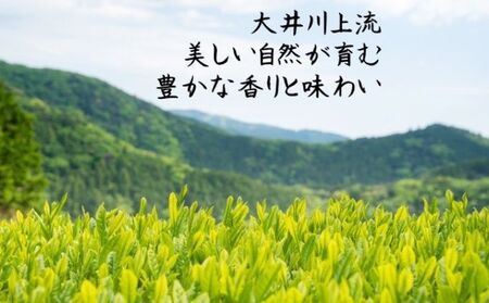 川根茶　上級煎茶あさぎり100g×5袋セット【静岡 緑茶 茶葉】 お茶 日本茶 川根産茶葉100％ 上品 まろやか 贈り物 家庭用 香り高い 深い味わい 飲み物 一息 休憩