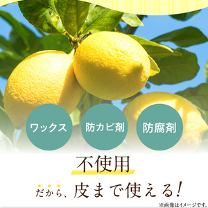 EA6021n_【2027年先行予約】【訳あり・ご家庭用】完熟 レモン 2kg 皮まで使用可能（栽培期間中農薬不使用）