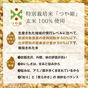 FYN6-520 【定期便】栄養満点！スーパー大麦もち麦・玄米ごはん 24個セット×6回 山形県産つや姫 パックライス パックごはん お米 玄米 保存食 備蓄 常温 レンジ 簡単
