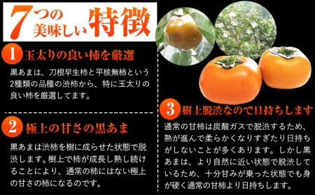 柿 お試し用! 高級ブランド柿 黒あま 約1.5kg