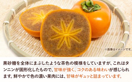 【先行予約】紀の川柿 6-8玉入 約1.8kg