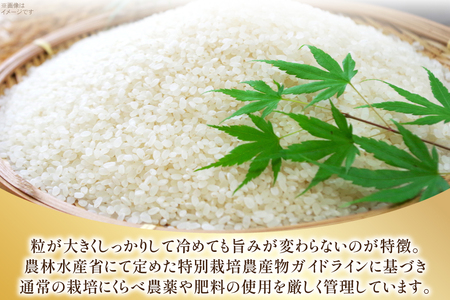 米 令和7年 特別栽培米 つや姫 5kg 2P 計 10kg [JA山形おきたま 山形県 高畠町 tk06ays870002]