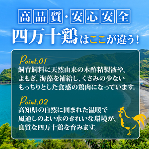 【 もも肉 】 四万十鶏 もも肉 2kg