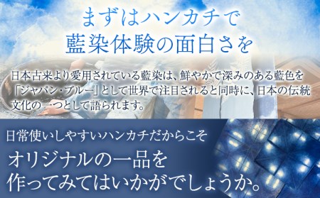 【予約制】福永幸山堂の藍染体験 ハンカチ体験チケット ペア体験チケット 福永幸山堂《60日以内に出荷予定(土日祝除く)》熊本県 御船町 ハンカチ 体験 チケット オリジナル 藍染 ペア