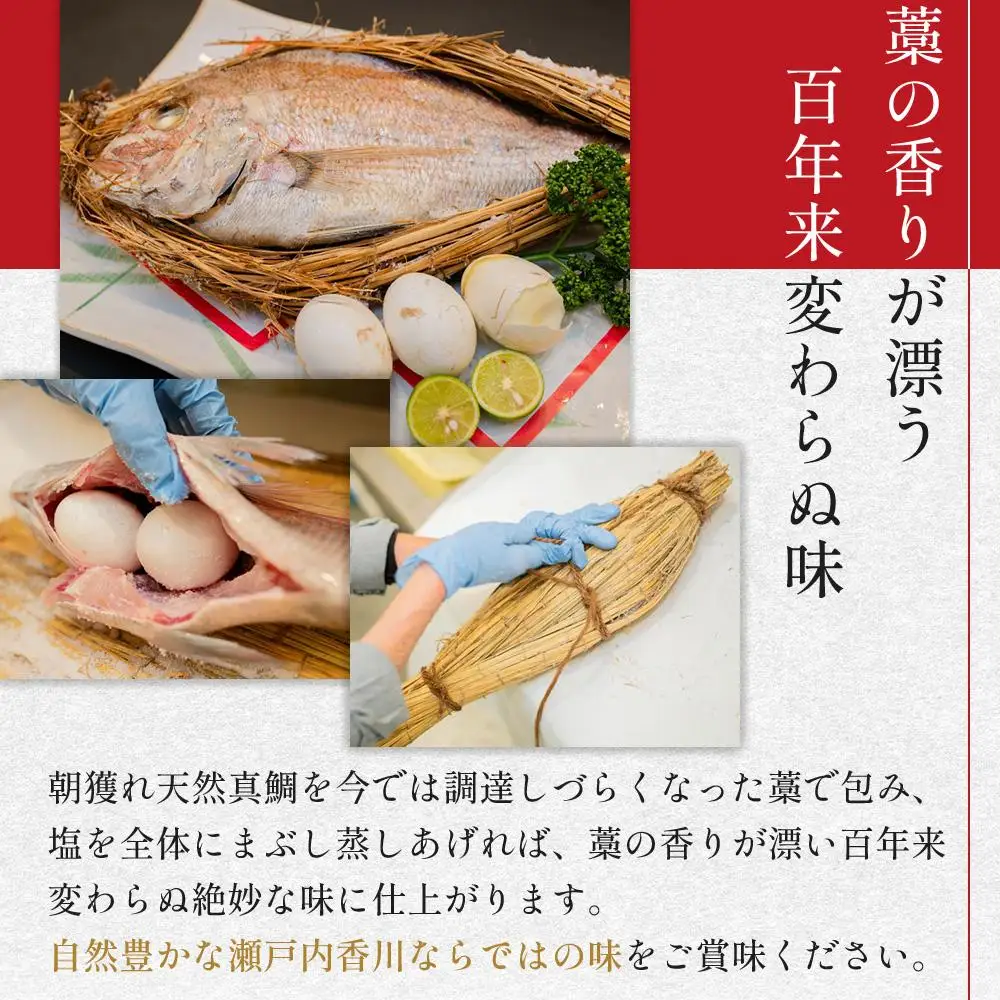 天然真鯛の浜焼1尾（4人～5人前）