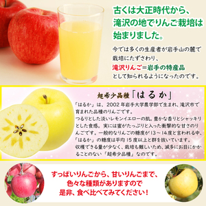 滝沢りんごジュース 720ml 3本 化粧箱入り 【さかえ農園】／ りんご リンゴ 林檎 アップル ジュース リンゴジュース りんごジュース 林檎ジュース アップルジュース 果汁100％ 100％ ストレートジュース 荒絞り あらしぼり ジュース ドリンク ソフトドリンク 瓶 おすすめ  国産 岩手県産