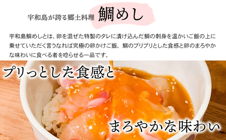 宇和島 鯛めし 3食 安岡蒲鉾店 鯛めし D016-020003