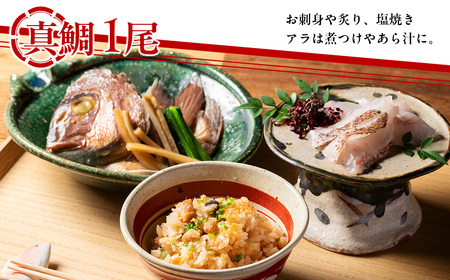（冷蔵） 人が食すために育てられほぼ捌かれている 真鯛・鯛めしの素 セット ／ 友栄水産 鯛 真鯛 鯛めし お刺身 炙り 塩焼き 煮つけ 伊勢志摩 三重県 南伊勢町