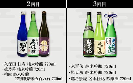 NT15C【5ヶ月連続お届け】新潟県長岡市日本酒15蔵飲み比べ 720ml×15本 毎月3本ずつお届け