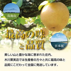 SA2927　酒田の果物専門店厳選　刈屋産 豊水梨　約3kg(7～9玉入)