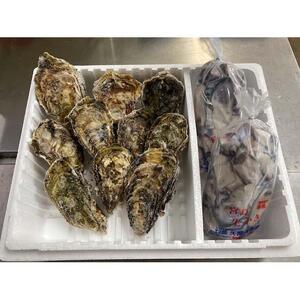 【加熱用】宮島が育んだ冷凍かき（セット）むき身600g＋殻付き10個