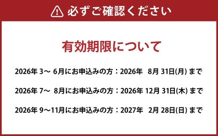 【急募】ナガシマスパーランド パスポート券2枚 期限間近 ナガシマスパーランド パスポート券 2枚 有効期限延長｜Yahoo!フリマ