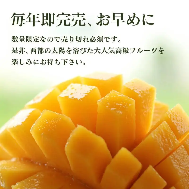 【酒井農園】西都産　宮崎完熟マンゴー3L×2個 産地直送【先行予約】2026年発送＜18-37a＞宮崎マンゴー