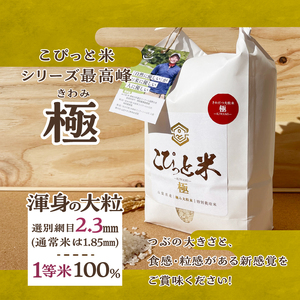 【令和7年度米】こぴっと米【極】2kg 大粒厳選・1等特別栽培米 100％ 米 精米 令和7年産 北杜市産 お米  八ヶ岳 [h020]
