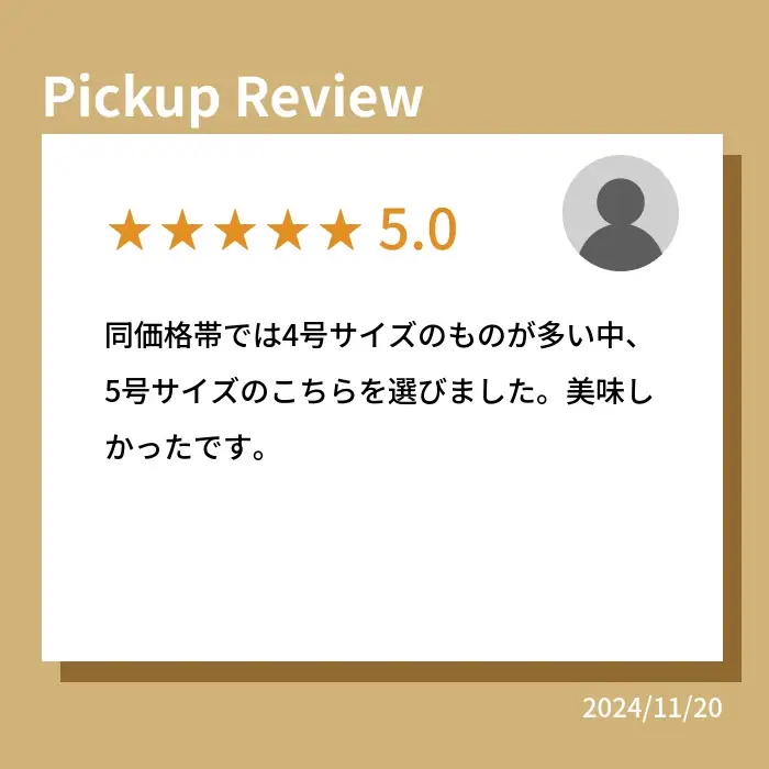 バスクチーズケーキ グルテンフリー 5号 ｜ バスクチーズケーキ