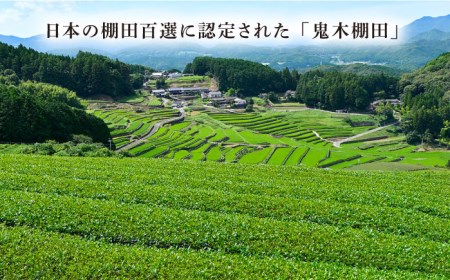 【全3回定期便】日本茶アワード受賞 玉緑茶 「心茶 鬼木みどり」 3本セット【原田製茶】 [GA21] 
