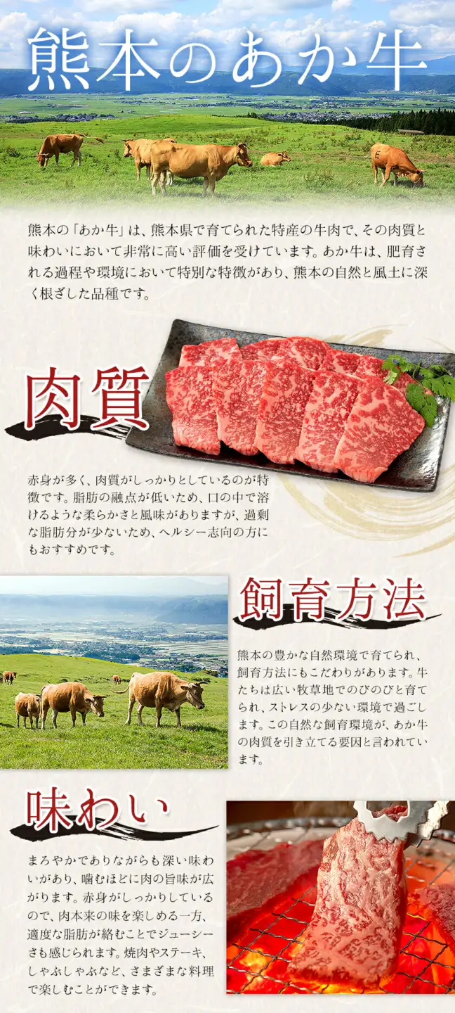 熊本県産あか牛使用 くまもとあか牛 ビーフカレー 4袋 1袋160g レトルト カレー パック 常備食 長期保存 送料無料《30日以内に出荷予定(土日祝除く)》