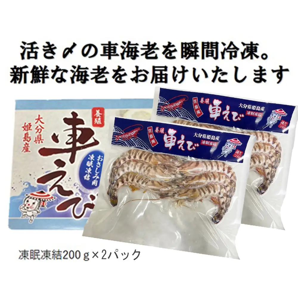 生食用凍眠凍結姫島車えび(養殖)約200ｇ(6尾～10尾)×2パック A1