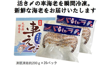 生食用凍眠凍結姫島車えび(養殖)約200ｇ(6尾～10尾)×20パック A10