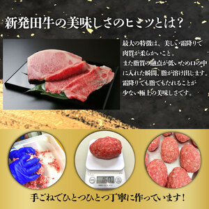 惣菜 ハンバーグ 10個 新発田牛 惣菜 惣菜 惣菜 惣菜 惣菜 H22_02