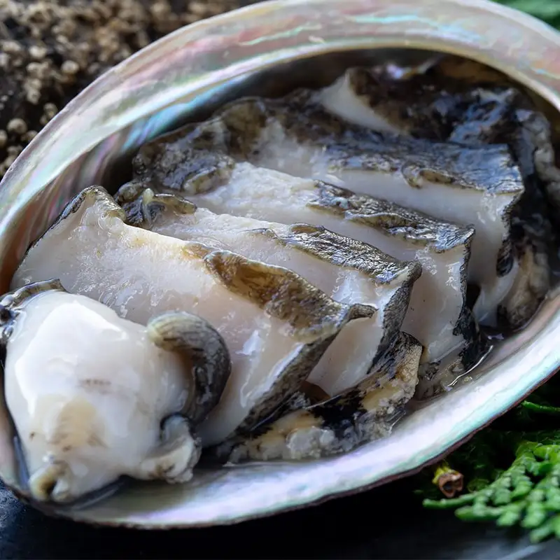 【数量限定】活黒あわび（養殖）