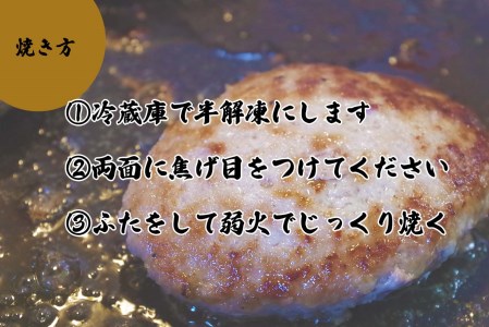 北海道産 黒毛和牛 みついし牛 と 道産豚 ハンバーグ 計 1kg （ 100g × 10個 ）
