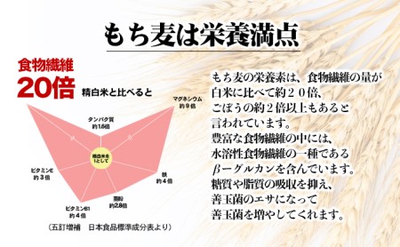 媛もち麥5kgセット＋押しはだか麦300g／もち麦 麦ごはん 雑穀 食物繊維豊富 食物繊維 もちもち プリプリ 食感 食品 食べ物 ご飯 おにぎり お弁当 主食 毎日 炭水化物 国産 日本産 愛媛県産 東温市産 直送 産地直送 
