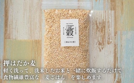 押しはだか麦 計2kg（1kg×2袋セット） 食物繊維豊富 食物繊維 食感 プチプチ あっさり 麦ごはん 食品 食べ物 ご飯 おにぎり お弁当 主食 毎日 炭水化物 国産 日本産 愛媛県産 東温市産 直送 産地直送 